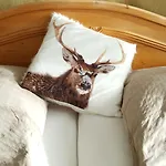 Otel Hasselhof Garni Vier Sterne - Adults Only Braunlage