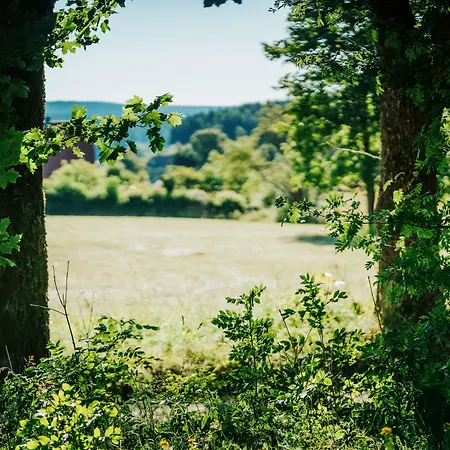 Отель Hasselhof Garni Vier Sterne - Adults Only