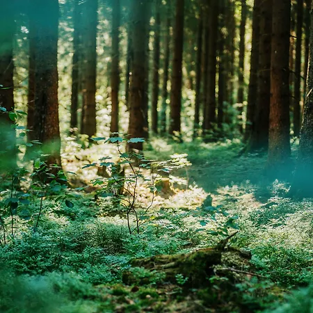 Hotel Hasselhof Garni Vier Sterne - Adults Only 4*