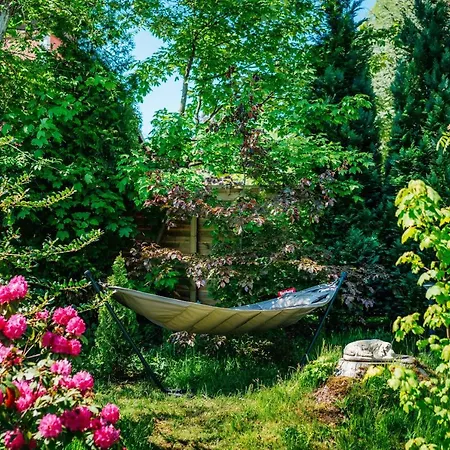 Hasselhof Garni Vier Sterne - Adults Only Браунлаге