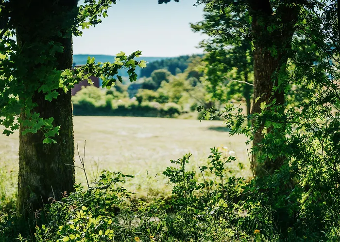 Hotel Hasselhof Garni Vier Sterne - Adults Only