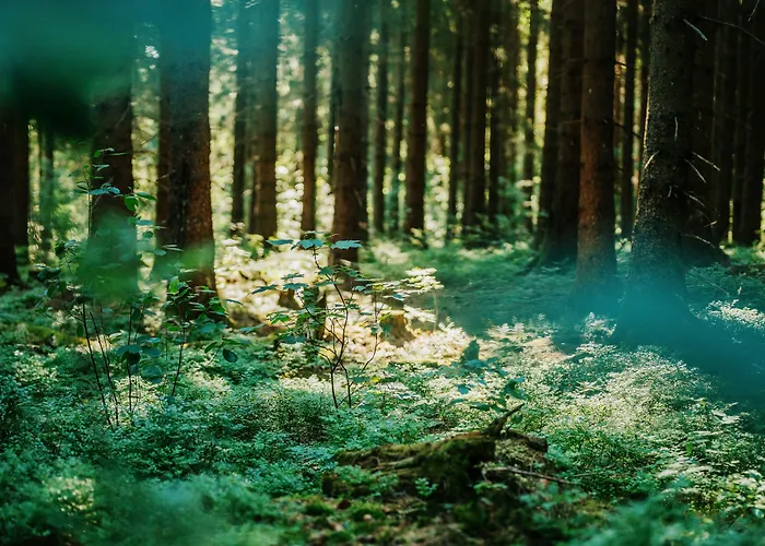 Hotel Hasselhof Garni Vier Sterne - Adults Only 4*