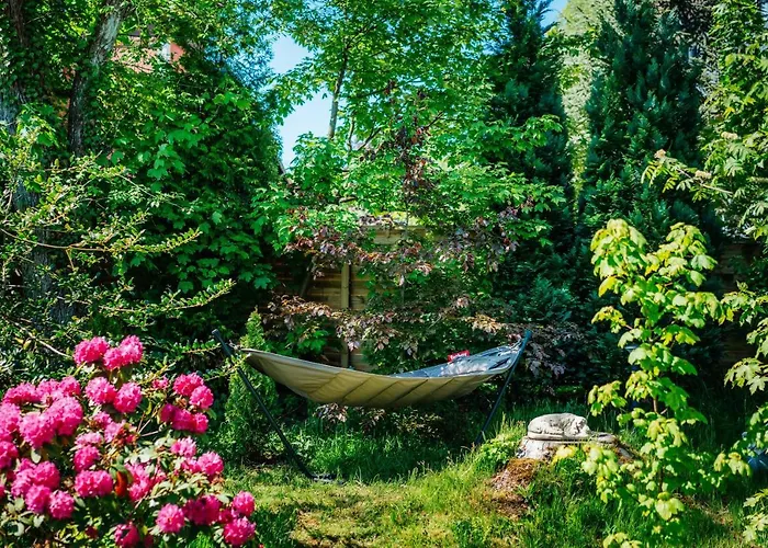 Hasselhof Garni Vier Sterne - Adults Only Braunlage